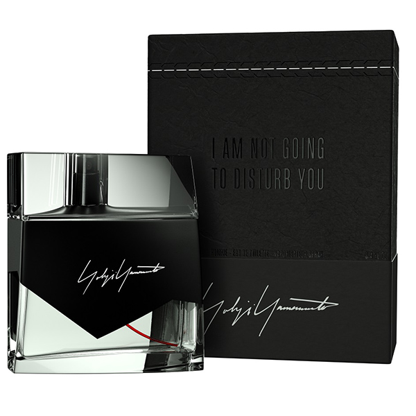 i_am_not_going_to_disturb_you_homme.jpeg